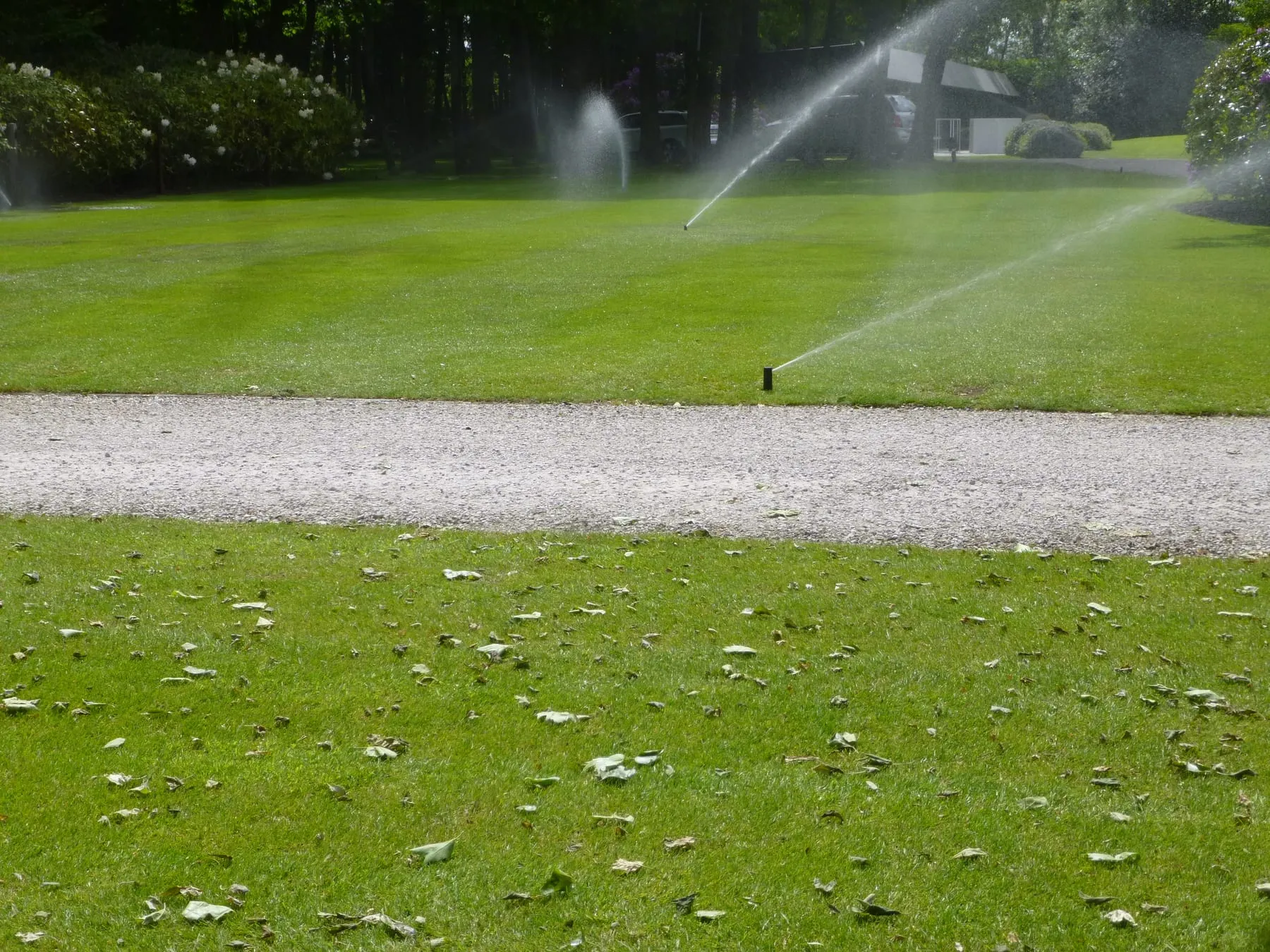 Beregening en bewatering